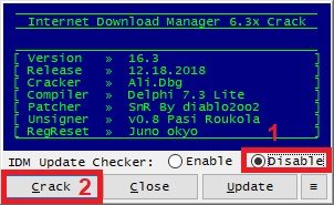 Crack Internet Download Manager 