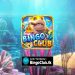 bingo-club
